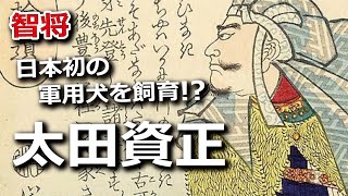 日本初の軍用犬を飼育！？打倒北条に燃えた智将・太田資正