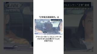 窃盗犯への家凸で2年越しに逮捕されてしまったアウトロー系インフルエンサー〇〇の事件 #shorts #雑学 #豆知識 #z李 #逮捕