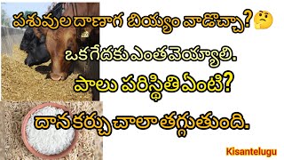 పశువుల దాణా కర్చును ఎలా తగ్గించాలి?బియం(rice) ను దాణాలో కలిపి వాడొచ్చా?పాలు పెరుగుతాయా,లేదా