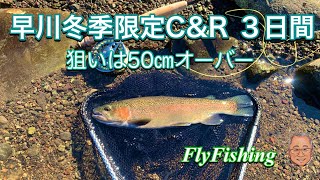 箱根早川冬季キャッチ&リリース区間で５０㎝オーバーを狙ってみたけど【フライフィッシング】【FlyFishing】