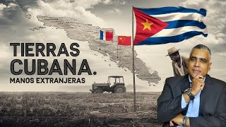 Tierras cubanas en manos extranjeras: ¿Nueva estrategia de la dictadura?😱🇨🇺