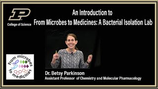From Microbes to Medicines: A Bacterial Isolation Lab for High School Students