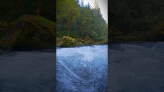 Mesmerized by the powerful flow of water along this beautiful rushing river 😍 #nature