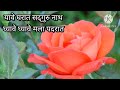 यावे घरात सद्गुरुनाथ भजन लिहून bhajan lyrics व्हिडिओ yave gharat sadguru nath