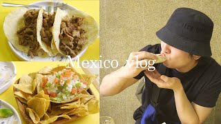 【vlog】メキシコでのんびりと過ごす1日