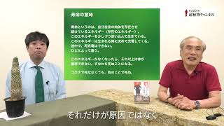 第148回　「新型コロナウィルス　62　寿命のメカニズム」ー　新型コロナによる死の意味【KOZOの超植物チャンネル】