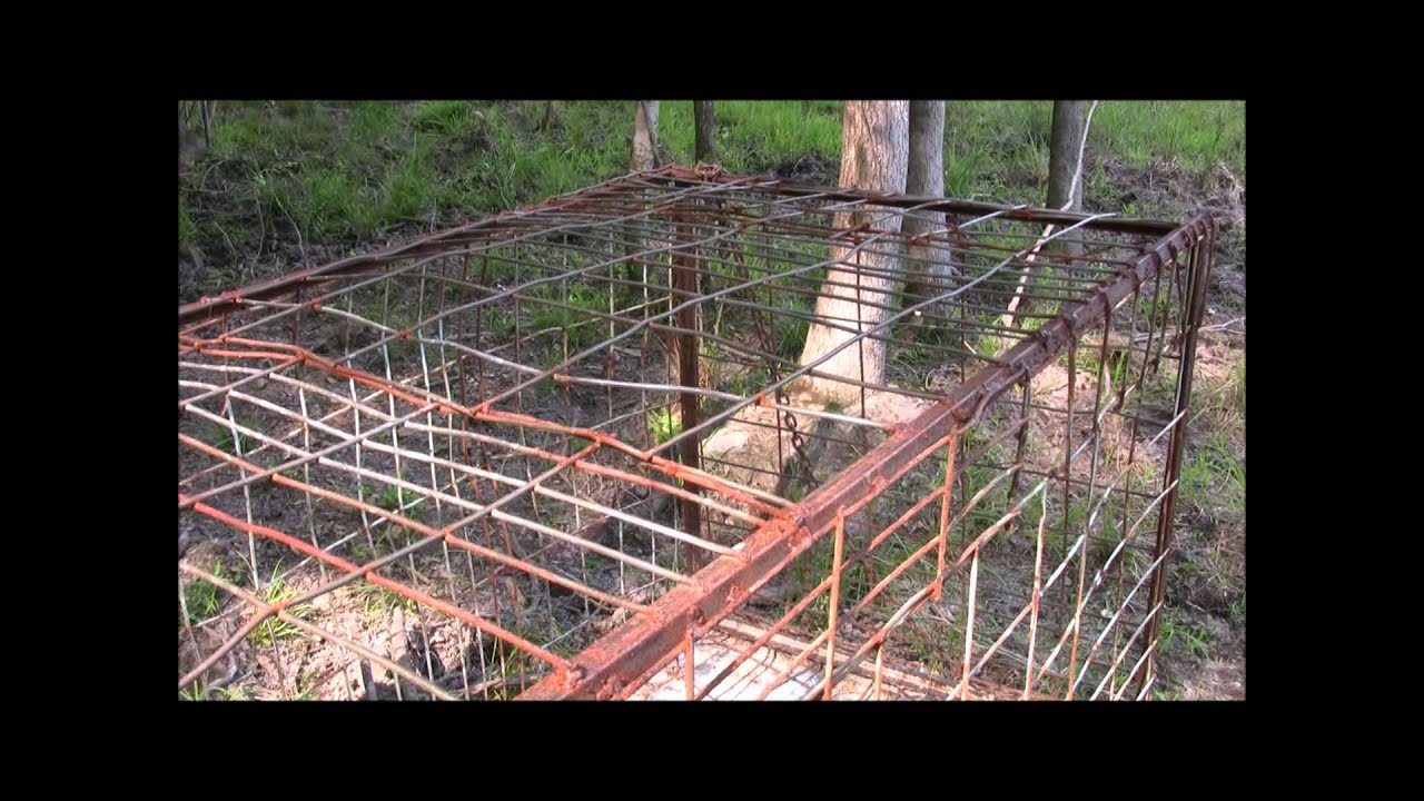 Hog Traps 101 The Homemade Portable Trap Youtube