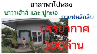 #อาสาพาไปหลง #ปูกะเอ #นาวาเฮ้าส์  #ปูกะเอริเวอร์ไซด์