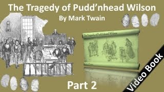 Part 2 - The Tragedy of Pudd'nhead Wilson Audiobook by Mark Twain (Chs 13 - 24)