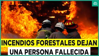 Confirman un fallecido y 40 viviendas afectadas: Incendios forestales sin control en zona central