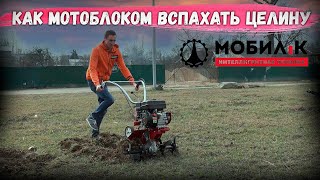 Что такое МОТОБЛОК МКМ МОБИЛ-К? Детальный разбор от Gardenstock, комплектация, работа по целине!