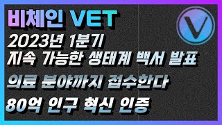 비체인 코인 2023년 1분기 지속 가능한 생태계 백서 발표 의료 분야까지 접수한다 80억 인구 혁신증