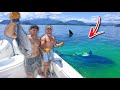 Trying to Catch the DEADLIEST fish in the Ocean - Worlds STRONGEST Fish