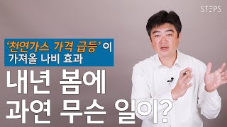 천연가스 가격 급등이 가져올 나비효과, 내년 봄에 과연 무슨 일이? [박영훈의 Power to X]_STEPS