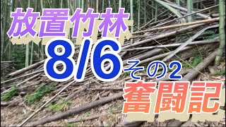 放置竹林奮闘記【サラリーマンが竹を切る日々】2023/08/06その2