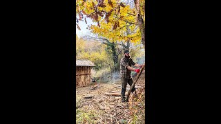 Log Cabin - Build Survival Forest House, Bushcraft Camping