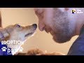 Shy Little Dog Transforms In New Home - MUFFIN | The Dodo Adoption Day