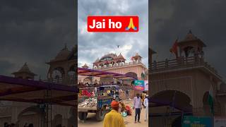 Jai ho 🙏🥰 #goga #gogaji #rajasthan #rajasthantourism #mandir #temple #shorts #short #viral #explore