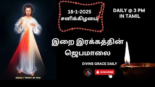 இறை இரக்கத்தின் ஜெபமாலை | சனிக்கிழமை  18-1-2025 | Irai Irakkathin Jebamalai  @DivineGraceDaily-25