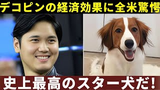 【🐶💸「もはや犬じゃない⁉️」】大谷翔平の相棒デコピンの驚異的経済効果に米メディアも驚愕⚾🌟【海外の反応】