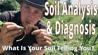 My Visual Soil Health Assessment Process