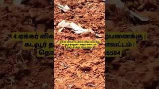 4 Acre Farm land for sale | Karur | Kadavur | For details call: 93445 56504