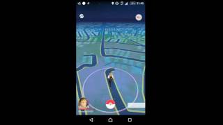 【ポケモンGO】田舎ユーザーの現実