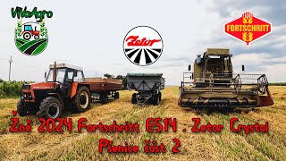 Žně-Zbiór-Harvest 2024, Pšenice,Farm life,Fortschritt,Zetor,část 2