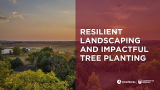 Resilient Landscapes and Impactful Tree Planting