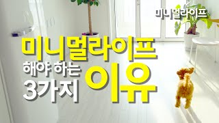 SUB)미니멀라이프는 부동산이다/물건을 비워야 하는 3가지 이유/minimllife/물건 비우기/정리정돈/ミニマルライフ