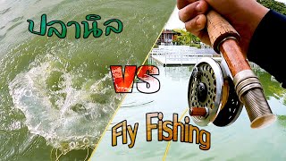 ตกปลานิล ด้วย Fly Fishing