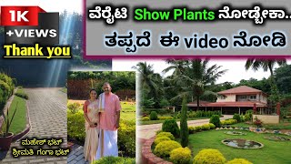 ಮನಸೆಳೆಯುವ ವೆರೈಟಿ ವೆರೈಟಿ show plants..super..|ಮಹೇಶ್ ಮತ್ತು ಗಂಗಾ ಅವರ ಮನೆಯಂಗಳದಲ್ಲಿ| Cactus ಹೂಗಳು|S3Ep20|