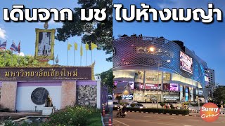 เดินชมบรรยากาศ​ตามถนน​จาก​มหาวิทยาลัย​เชียงใหม่​ - ห้างสรรพสินค้า​เมญ่า เชียงใหม่​ | Sunny​ ontour​