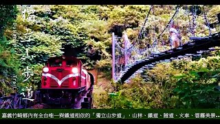 觀察者旅讀 美翻！竹崎全台唯一鐵道相依「獨立山步道」觀音瀑布粉紅花海螢光盛宴玩起來！