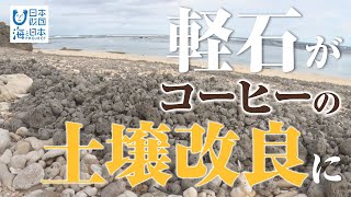 厄介者の軽石で土壌改良 日本財団 海と日本PROJECT in 鹿児島 2021 #20