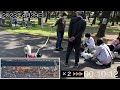 ウォーキングコース 浜寺公園一周 お散歩 アラ還 熟年離婚 独身 新生活 バーベキュー bbq デイキャンプ 浜寺水路 浜寺運河 ボラ チヌ アカエイ アカクラゲ　vlog 2023.4.29