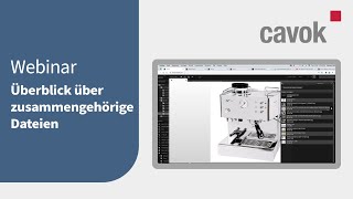 Überblick über zusammengehörige Dateien [Webinar Ausschnitt] - Cavok Digital Asset Management
