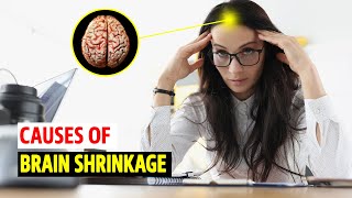 What causes the Brain to Shrink