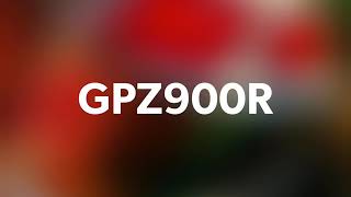 GPZ900R  #100