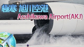 猛吹雪❄️⛄️旭川空港✈️✈️豪快離着陸撮影 【高画質４K】