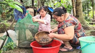 Bất Ngờ Mới Sáng Sớm Cá Tép Lựa Đã Tay Giờ Gia Đình Mình Chỉ Cần Hai Bữa Cơm Là Đủ | TKQ & Family