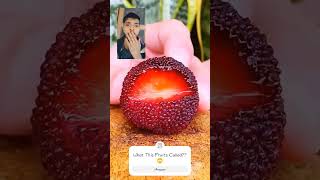 Reacting To Unseen Amazing Fruits 🙄🙄 #shorts #trending #viral #youtubeshorts #reaction #fruits