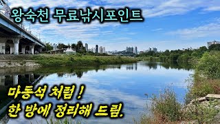 👍가을붕어 왕숙천 어떠세요? 🔟경기도 남양주 왕숙천 🎣무료낚시포인트 10곳 탐방기 |  #무료낚시포인트