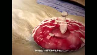 细胞的类型 三维立体动画演示 #人体解剖学 Types of cells 3D animation #humananatomy