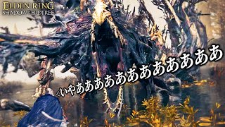 1ミリも知らない男がまた泣いた最高難易度の死にゲー｜ELDEN RING DLC - エルデンリング DLC - #２