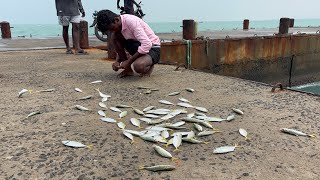 ONE MAN ARMY FISHING|| தும்பு தூண்டிலில் சிக்கிய மீன்கள்