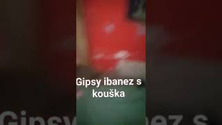 Gipsy ibanez (2) skouska