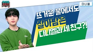 바이블 챌린지 | 37회 | 다니엘ㅣ뜨거운 불에서도 살아남은 다니엘과 세 친구?!