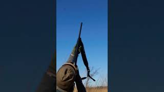 Ever caught a Pheasant in mid air? Me Either..