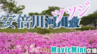 ドローンツツジ空撮【静岡市安倍川河川敷】マビックミニ/MavicMini/新緑/静岡市